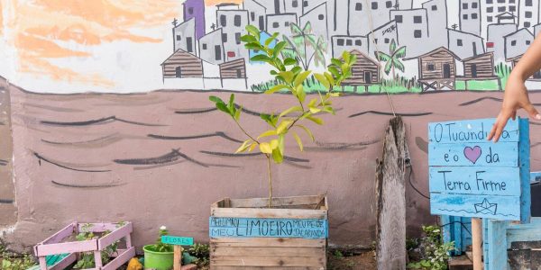 Canteiro Faça você mesmo